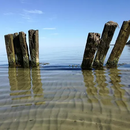 Luxury Retreat In Mommark - By Traum *