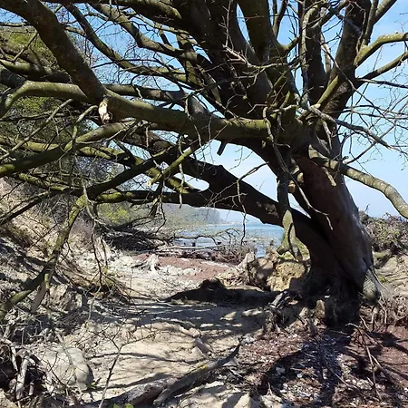 Luxury Retreat In Mommark - By Traum Casa de Férias *