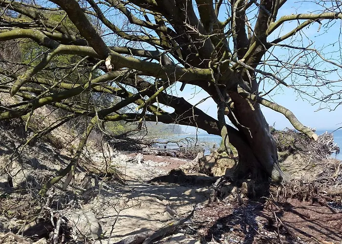 Luxury Retreat In Mommark - By Traum Vakantiehuis *